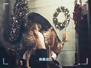 Cloud Christmas EN 4K 12fps Cloud Christmas EN 4K 12fps