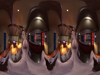 Cowgirl VR360