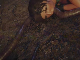 Cánh đồng bí ngô 1080p