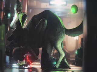 Samus vs Blackcat và Dogmeat